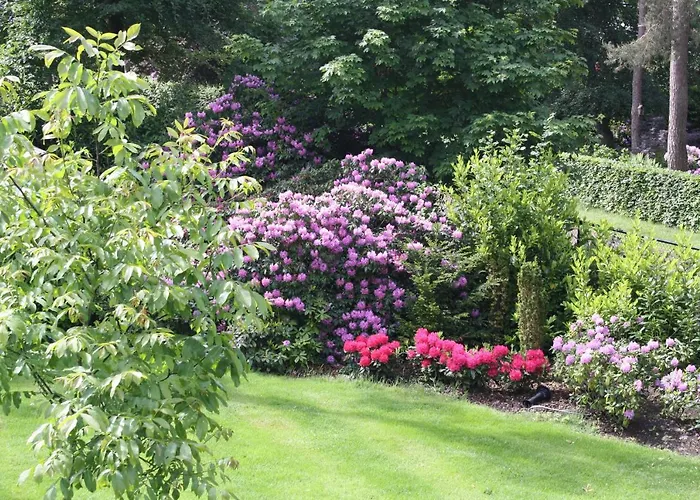 Op 't Leven Bed & Breakfast 3*